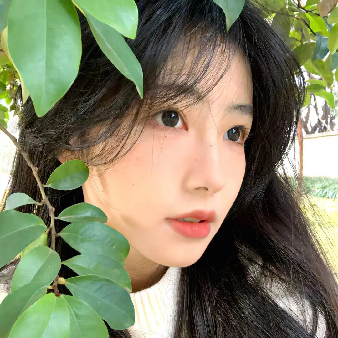 矮婆